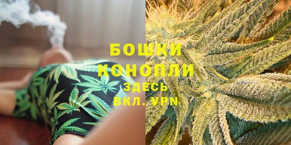 круглые Белокуриха